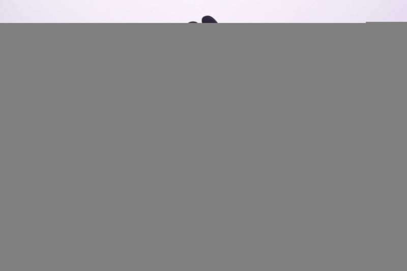 Hobby sakura Shin no Ten P Bunny Ver. Deluxe Edition 1/8 Figure JAPAN OFFICIAL