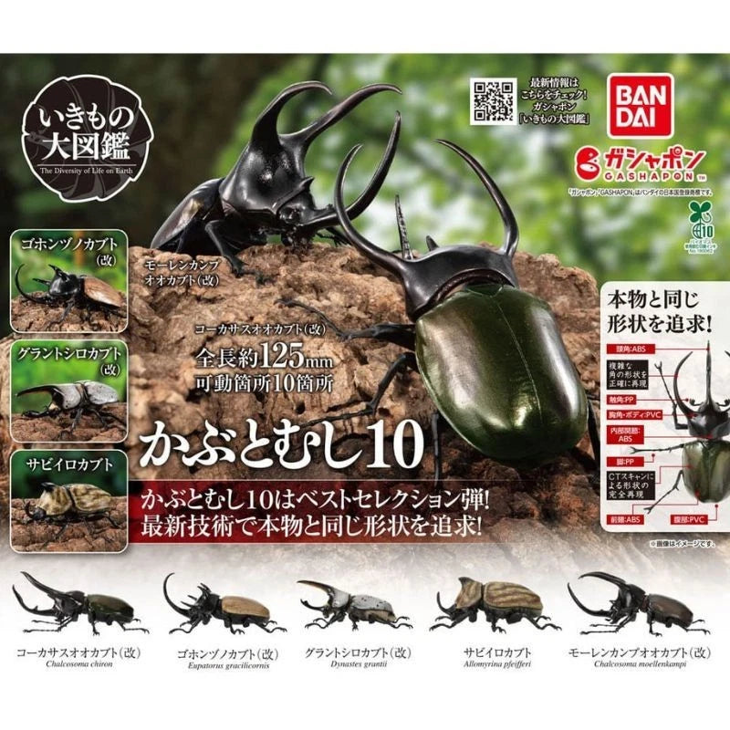 BANDAI Ikimono Encyclopedia Beetle 10 Complete Set Figure Capsule Toy Japan