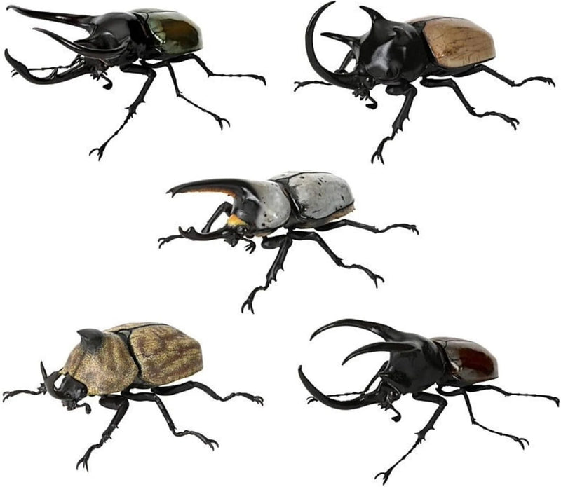 BANDAI Ikimono Encyclopedia Beetle 10 Complete Set Figure Capsule Toy Japan