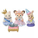 Sylvanian Families Preschool Presentation Set Princess & Glass Shoes S-77 JAPAN