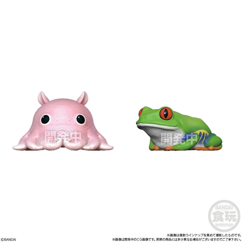 BANDAI Uru Tsuya Tenori Friends 12Pack Box Figure Candy Toy JAPAN OFFICIAL