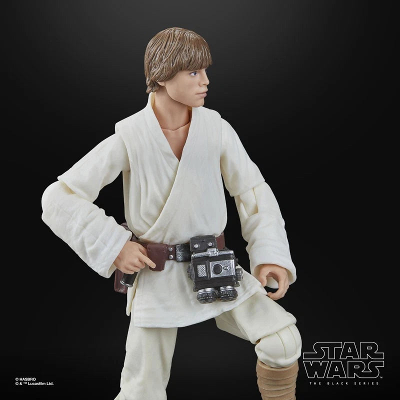 Star Wars Black Series Star Wars Episode IV Luke Skywalker Action Figure JAPAN