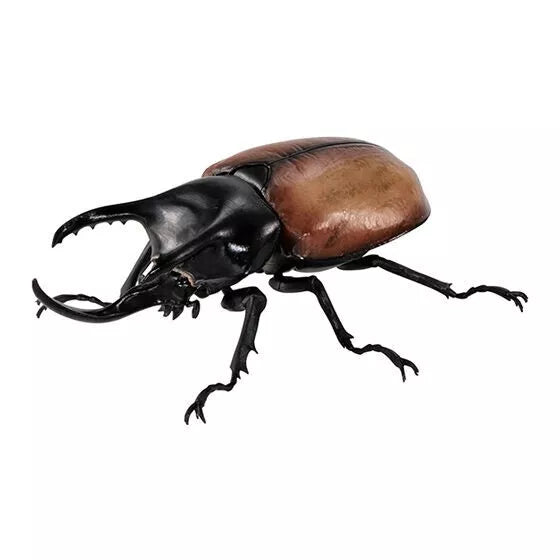 BANDAI Ikimono Encyclopedia Beetle 08 Set completo Figure Capsule Toy Giappone