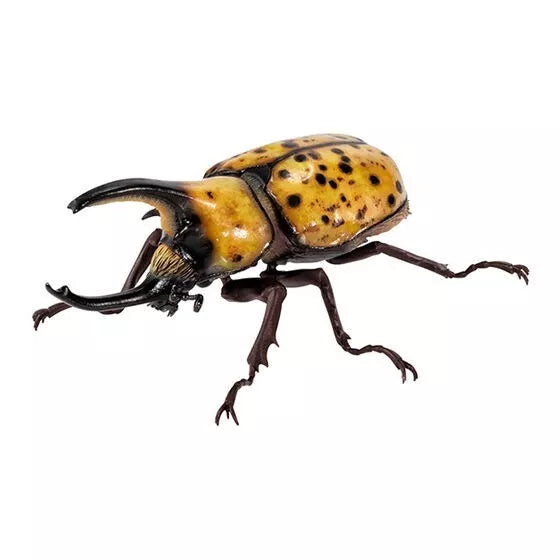 BANDAI Ikimono Encyclopedia Beetle 08 Set completo Figure Capsule Toy Giappone