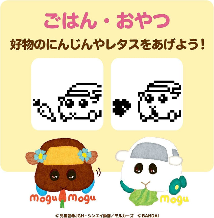 Bandai Pui Pui Molkacchi Tamagotchi Cream Color Ver. OFFICIER JAPON