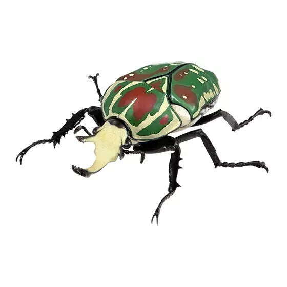 BANDAI Ikimono Encyclopedia Beetle 08 Set completo Figure Capsule Toy Giappone