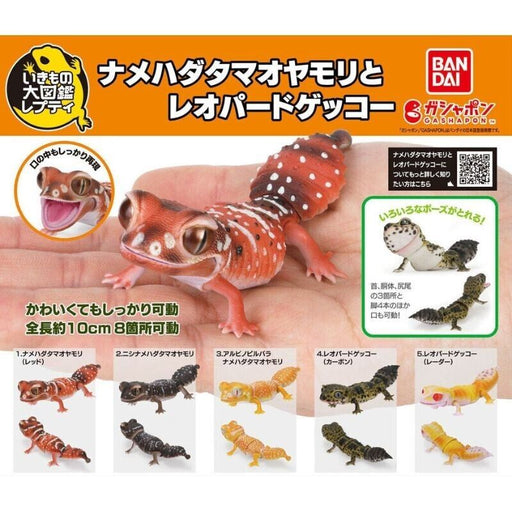 BANDAI Smooth knob-tailed & Leopard Gecko All 5 Types Set Figure Capsule Toy