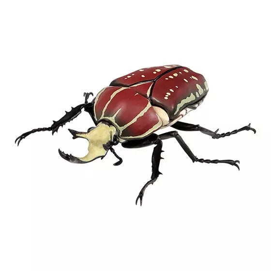 BANDAI Ikimono Encyclopedia Beetle 08 Set completo Figure Capsule Toy Giappone