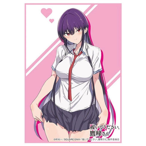 Sleeve Collection HG Please Put Them On, Takamine-san Takane Takamine Vol.4836