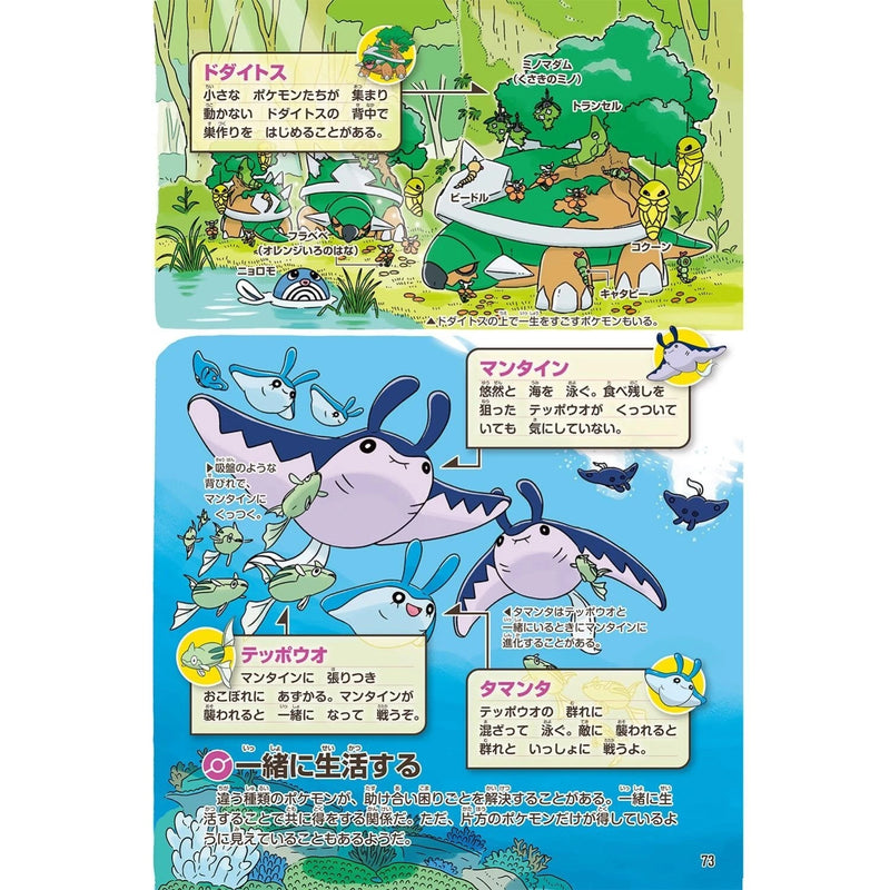 Livro da Enciclopédia Pokémon Pokecologia JAPÃO OFICIAL