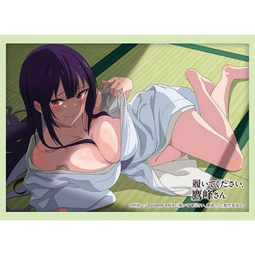 Sleeve Collection HG Please Put Them On, Takamine-san Takane Takamine Vol.4839