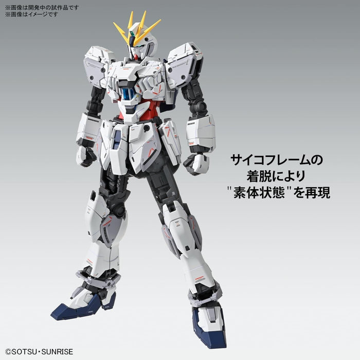 BANDAI MG Narrative Gundam C-Packs Ver. Ka 1/100 Model Kit JAPAN OFFICIAL