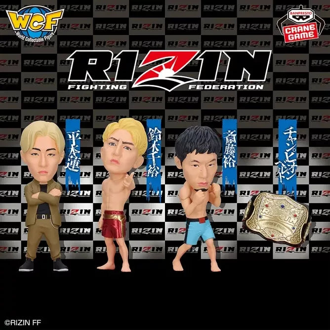 Banpresto RIZIN World Collectable Figure Vol.2 Ensemble de 4 JAPON OFFICIEL