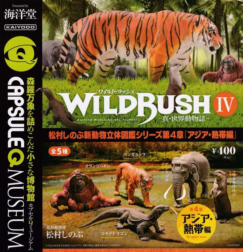 Kaiyodo Capsule Q Museum Wild Rush Shin World Fauna 4 Ásia Gashapon 5 Figura
