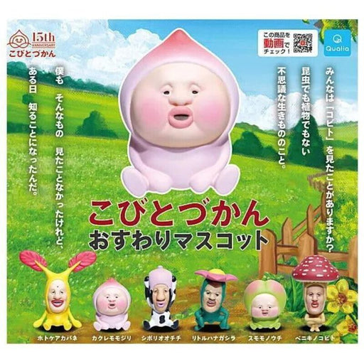 Qualia Kobitozukan Sitting Mascot All 6 Type Set Figure Capsule Toy JAPAN