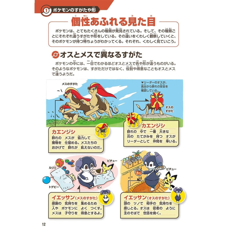 Livro da Enciclopédia Pokémon Pokecologia JAPÃO OFICIAL