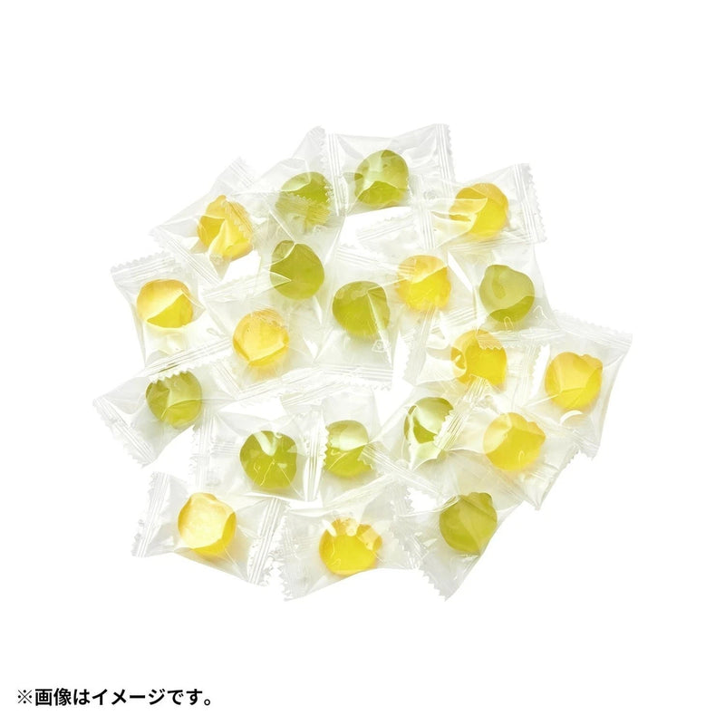 Pokemon Center Original Applin Case JAPAN OFFICIAL