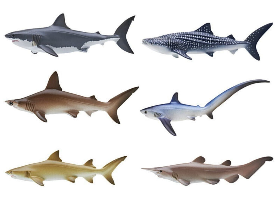 Nature Techni Color 400 Sharks All 6 Types Figure Capsule toy JAPAN OFFICIAL