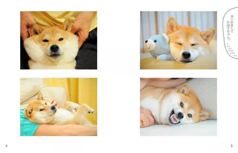 KADOKAWA Cammina per sempre con Kabosu Book UFFICIALE GIAPPONE