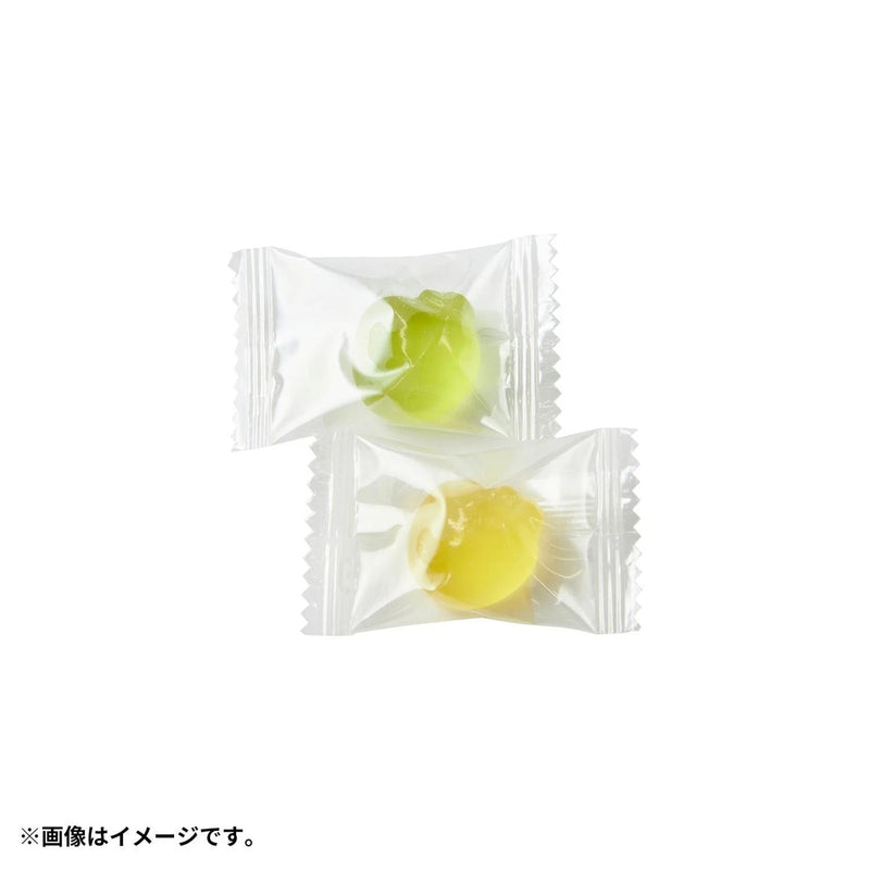 Pokemon Center Original Applin Case JAPAN OFFICIAL