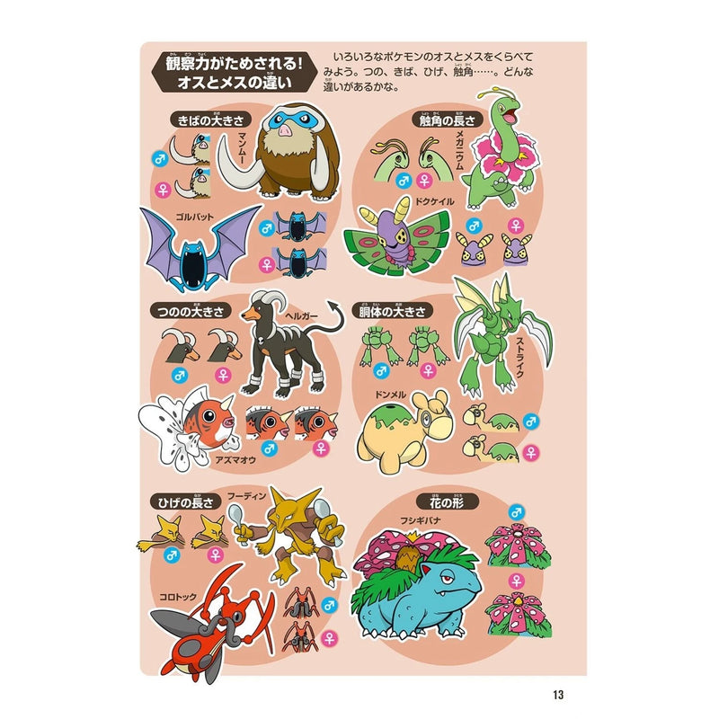 Livro da Enciclopédia Pokémon Pokecologia JAPÃO OFICIAL