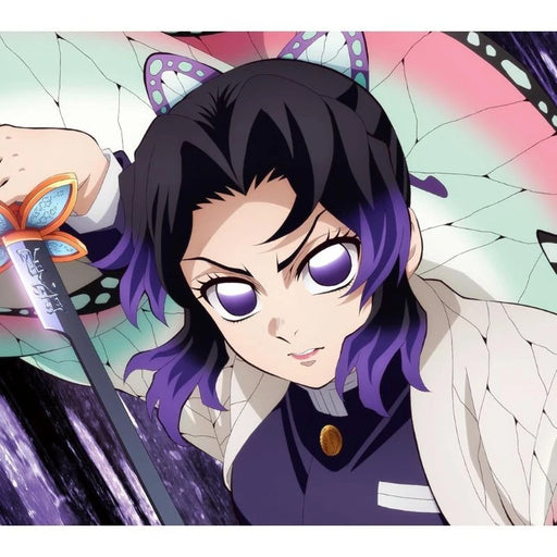 Sony Music Aimer A World Where the Sun Never Rises CD+Blu-ray Disc JAPAN