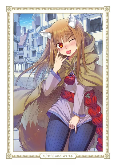 KADOKAWA Spice and Wolf Collector's Edition vol.6 Comics JAPAN OFFICIAL