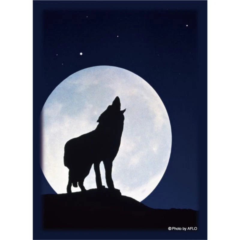 Hybrid Sleeve A Lone Shadow Under the Moonlit 2025 JAPAN OFFICIAL