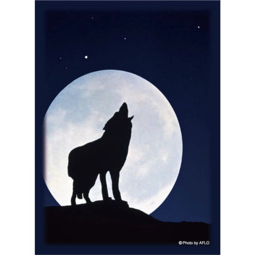 Hybrid Sleeve A Lone Shadow Under the Moonlit 2025 JAPAN OFFICIAL