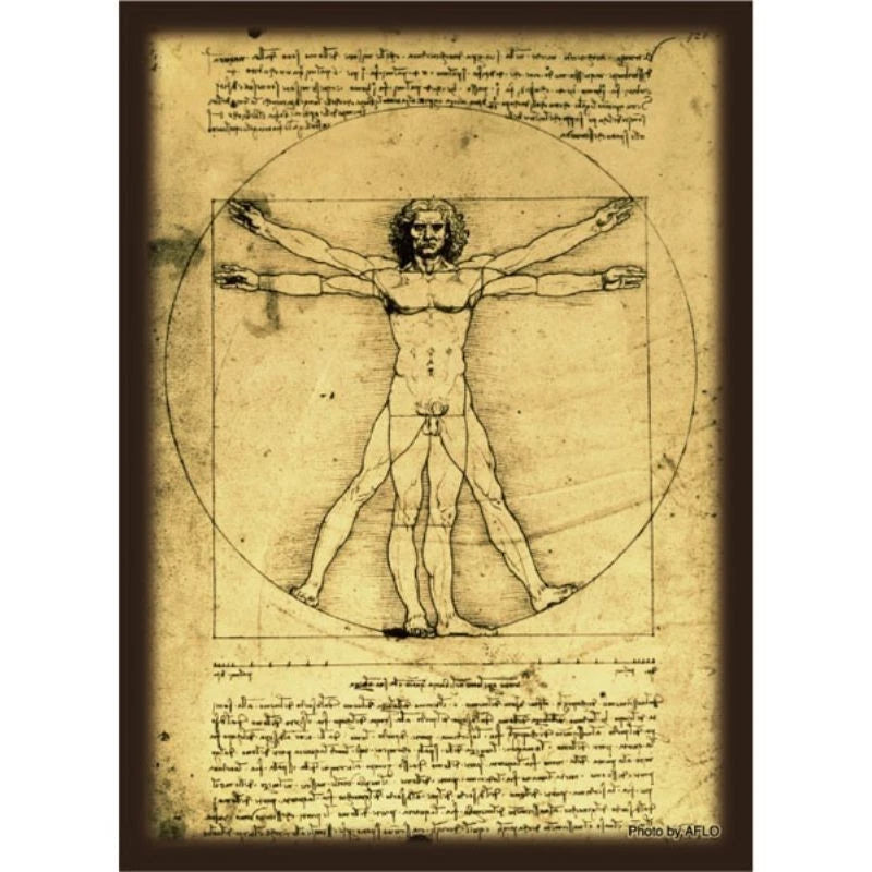 Hybrid Sleeve Leonardo da Vinci Vitruvian Man JAPAN OFFICIAL