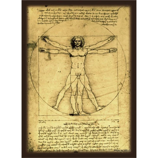 Hybrid Sleeve Leonardo da Vinci Vitruvian Man JAPAN OFFICIAL
