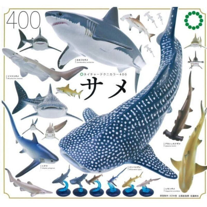 Nature Techni Color 400 Sharks All 6 Types Figure Capsule toy JAPAN OFFICIAL