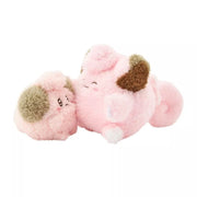 Pokemon Center Original Buru Buru Mugyu! Cleffa & Clefairy Plush Doll JAPAN