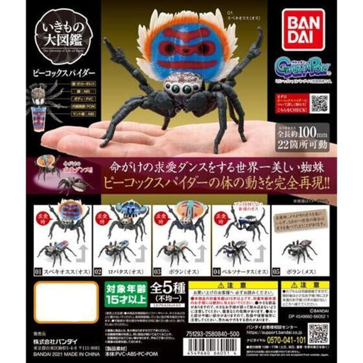 BANDAI Peacock Spider Collection All 5 Type Action Figure Capsule Toy JAPAN
