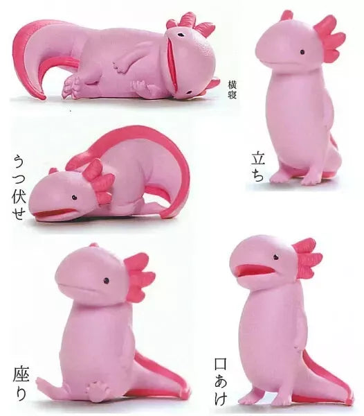 Crie KYOMU. Axolotl ensemble complet figurine capsule jouet JAPON OFFICIEL
