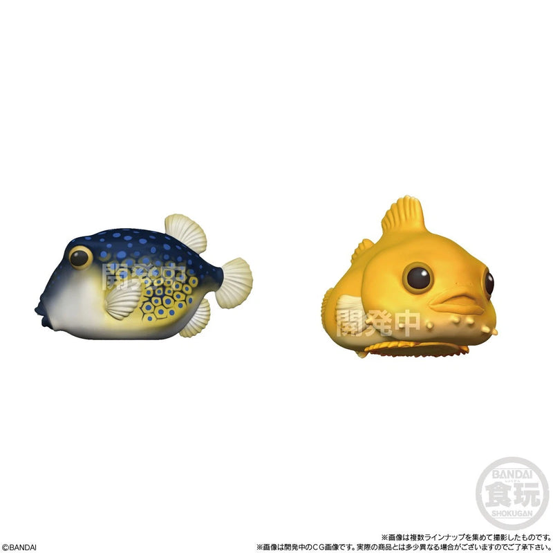 BANDAI Uru Tsuya Tenori Friends 12Pack Box Figure Candy Toy JAPAN OFFICIAL