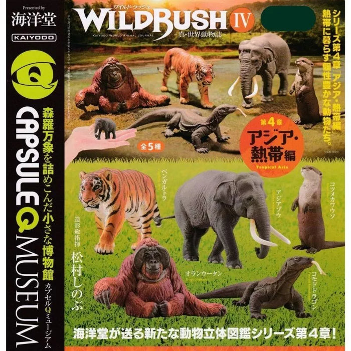 Kaiyodo Capsule Q Museum WILD RUSH Shin world fauna 4 Asia Gashapon 5 set figure