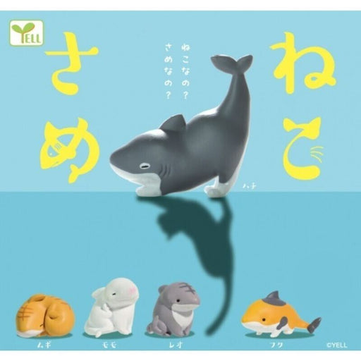 YELL Nekosame Cat shark All 5 Type Set Figure Capsule Toy JAPAN OFFICIAL