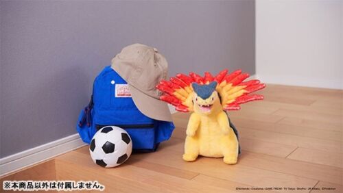 Takara Tomy Arts Plush Doll Pokemon Get Kimi Ni Kimeta Typhlosion JAPAN OFFICIAL