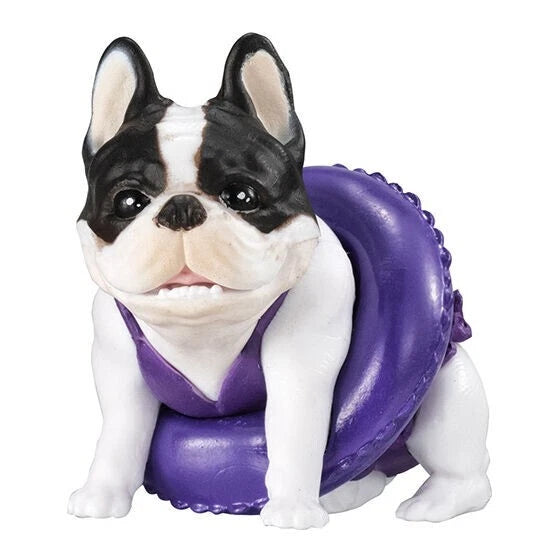 BANDAI French Bulldog Friends Complete Set Figure Capsule Toy JAPAN OFFICIAL