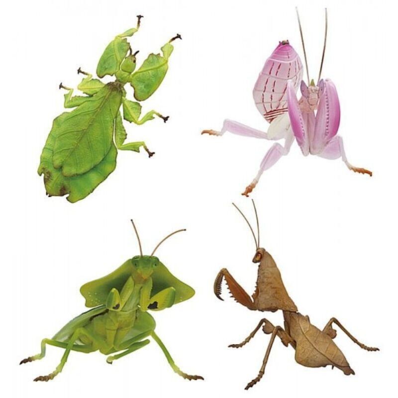 Primary Color Mimicry Insects Complete set 4 types Figure Capsule Toy JAPAN