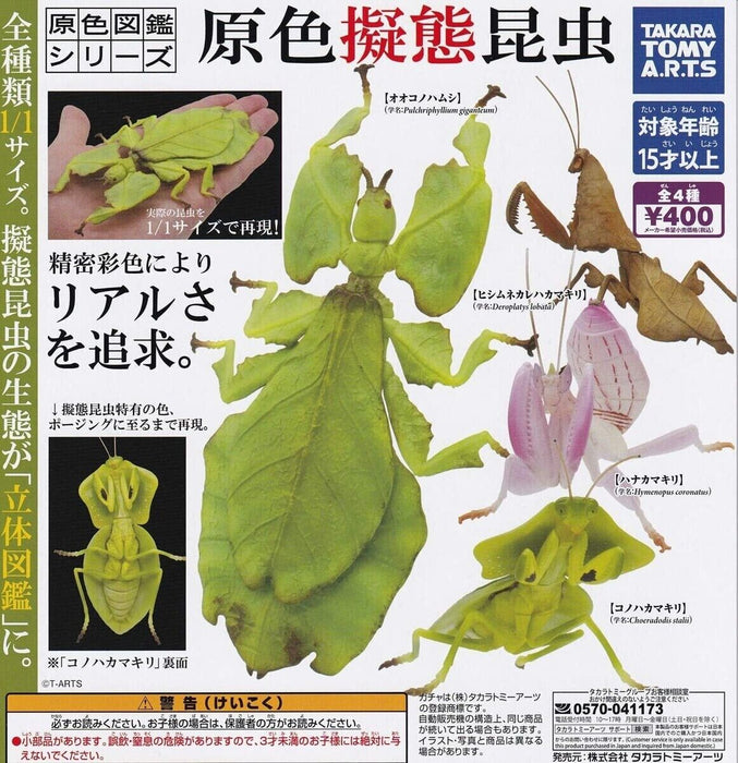 Insectos de imitación de color primario Conjunto completo 4 tipos Cápsula de figura Toy Japón
