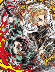 Demon Slayer -Kimetsu no Yaiba- Movie Mugen Train Limited Edition DVD JAPAN