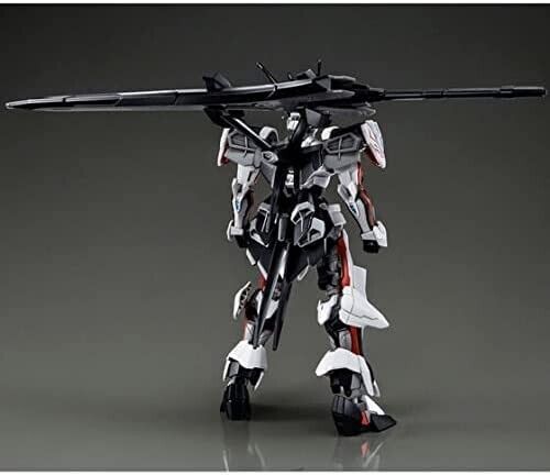 Premium BANDAI HG 1/144 Gundam Load Astray MHF-01Ω Figure JAPAN
